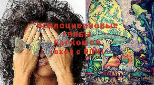 СК Алексеевка